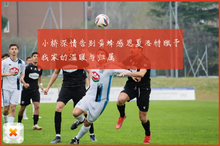 小桥深情告别黄蜂感恩夏洛特赋予我家的温暖与归属