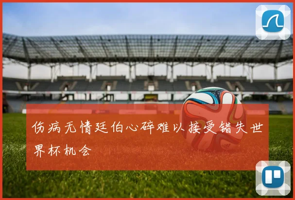 伤病无情廷伯心碎难以接受错失世界杯机会